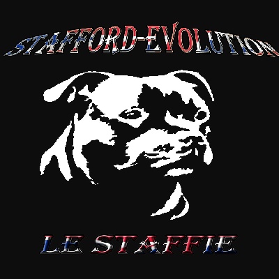 Stafford Evolution